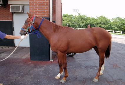 õ������ ����