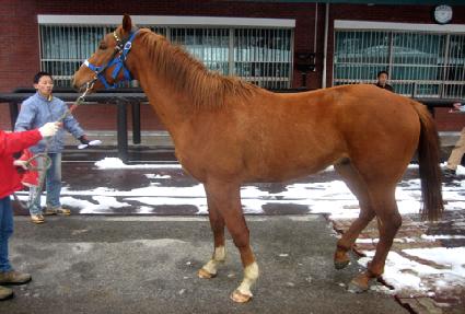 �������� ����