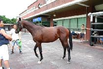 ��Ż���� (TOTAL TOUGH) ����