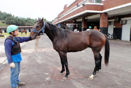 �ູ���� ����