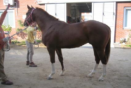 â������ġ ����