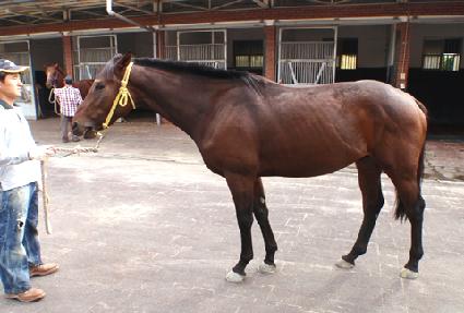 ������ ����