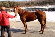 �ָ�����Ʈ (JUMAL DATE) ����