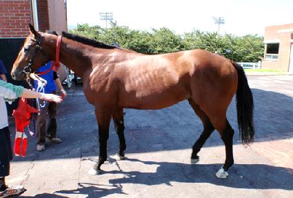 �ʿ��Ǿ�ħ ����