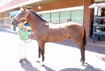 �ʿ�õ�� (CHOWONCHEONJI) ����