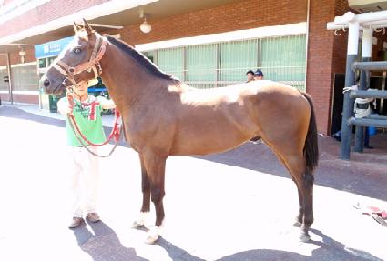 �ʿ�õ�� ����