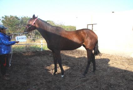 �ð��к�Ÿ�� ����