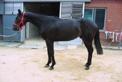 �������� ����