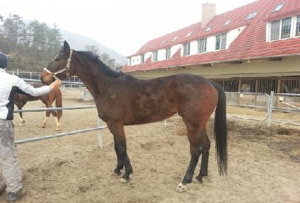 ���̴������� ����