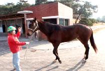 ȣ��ǳ (HOGEOLPUNG) ����