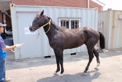 ��ġ���� ����