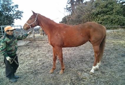 �������� ����