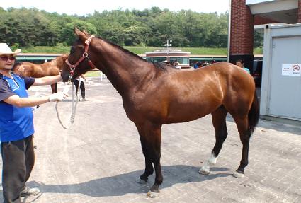 �ձ��� ����