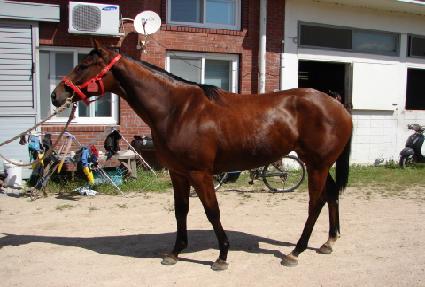 ������Ÿ�̰� ����