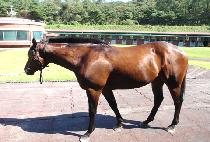 �������� (SAEBYEONGNALGAE) ����