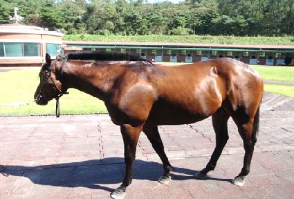 �������� ����