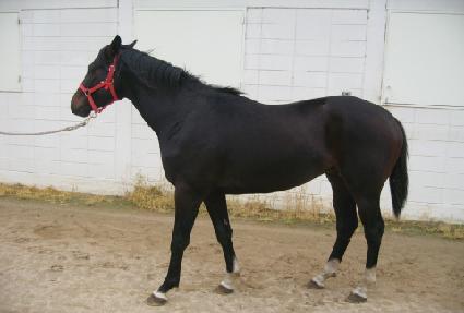 õ��ȣ�� ����