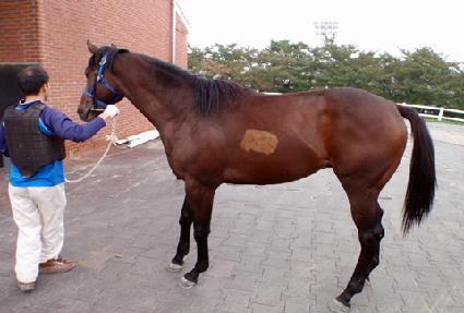 �Ƹ��ٿ����� ����