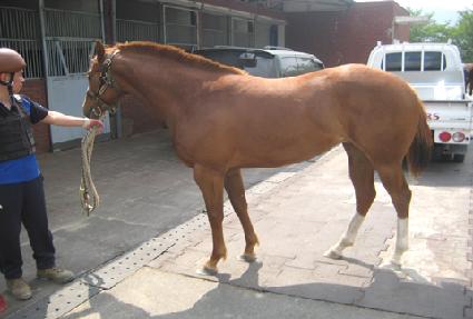 ���������� ����