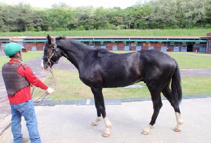 �̱׷����ħ ����