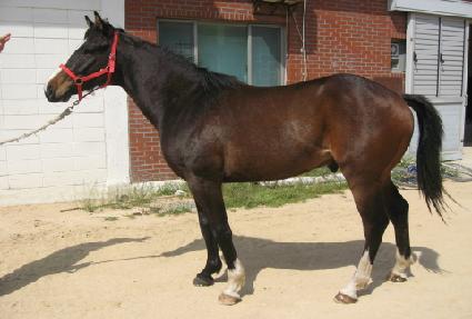 ��հŹ� ����