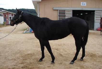 �����Ŀ� ����