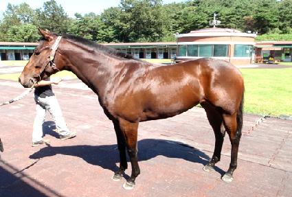 ���õ� ����