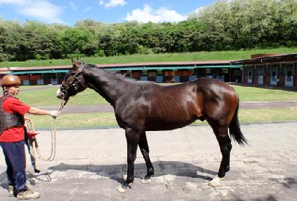 �˱� ����