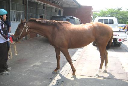 ��� ����