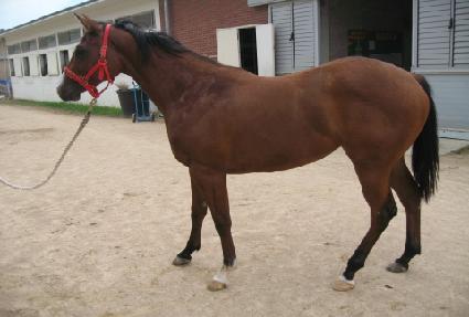 �ܼ����� ����