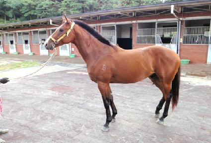 �Ŀ����� ����