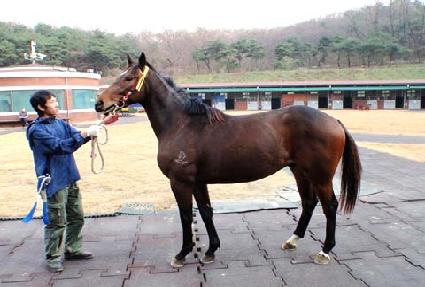 �Ҳɽ�ȭ ����
