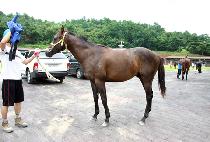 ������ (WIN BLUE) ����