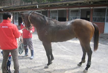 �̺̽��� ����