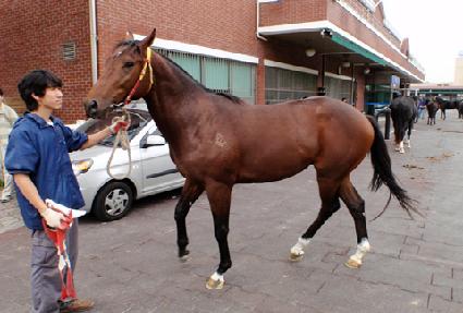 ĳ���н�ȭ ����