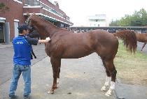 GWACHEONTONGCHIJA picture