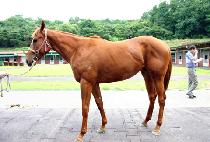 MODERN DANCER picture