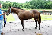 �ູ��ȭ (HAENGBOKSINHWA) ����