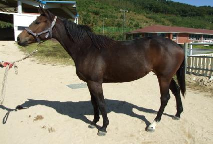 ������ ����