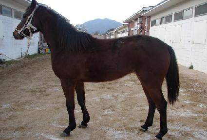 ������Ÿ ����