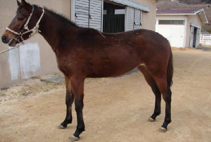 �ӱ� ����