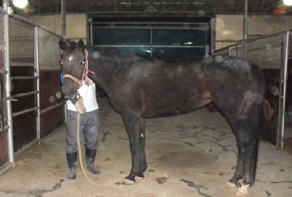 ��ī��Ʈ���� ����