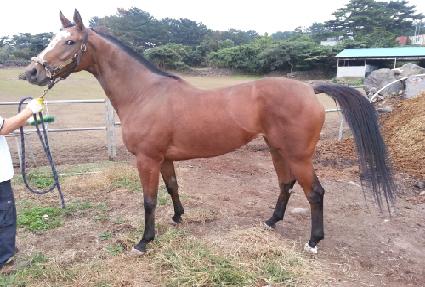 �ӽ����� ����