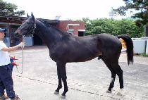 �����Ž�ȭ (WORLD CUP SINHWA) ����