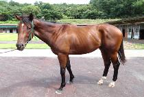 ��ī����Ʈ�� (SKY PARTNER) ����