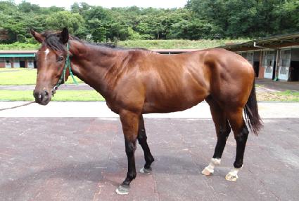 ��ī����Ʈ�� ����