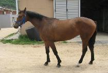 ����Ŭ (NO TACKLE) ����