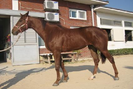 ��Ƽ���� ����