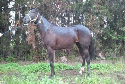 ��ƼǮ�Ŀ� ����