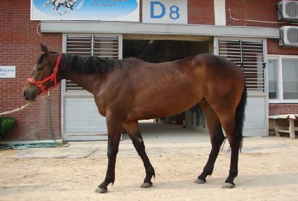 �ݼ��� ����